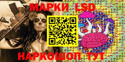 крисы Кинель