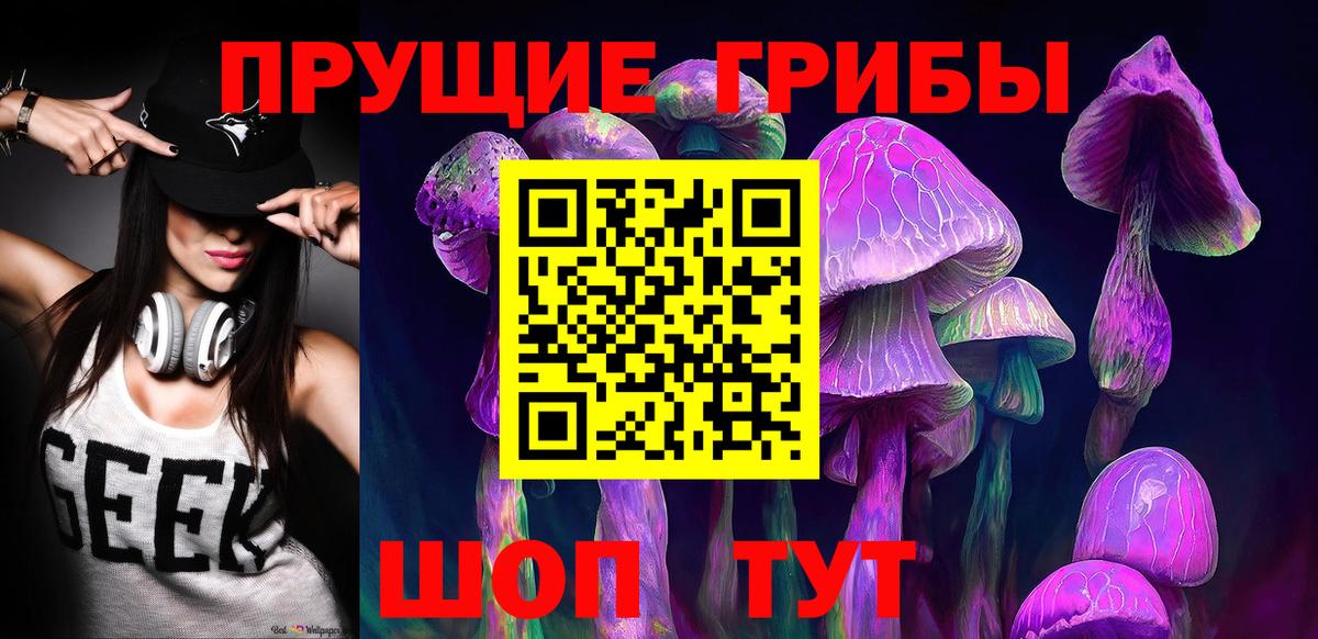 Котовск  Псилоцибиновые грибы GOLDEN TEACHER  Вход с VPN 